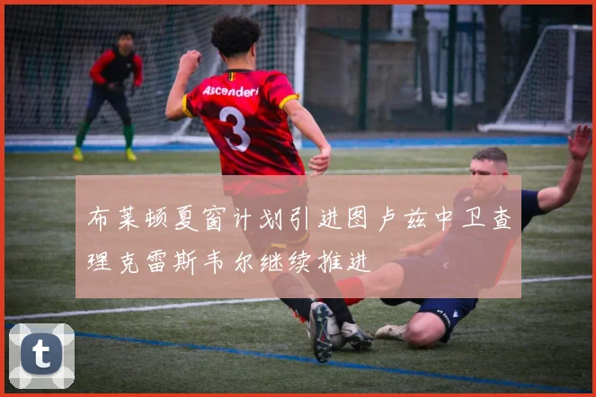 布莱顿夏窗计划引进图卢兹中卫查理克雷斯韦尔继续推进
